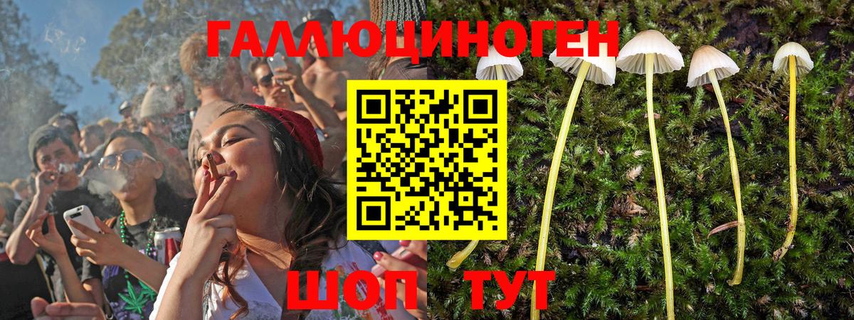 Псилоцибиновые грибы ЛСД Абинск