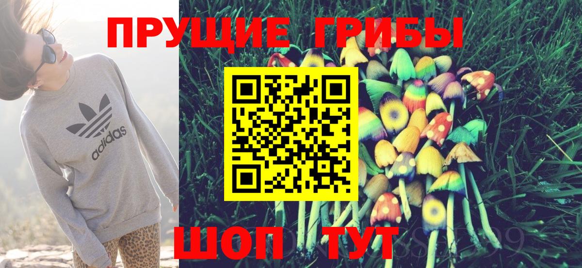 Галлюциногенные грибы GOLDEN TEACHER  Вход с VPN  Абинск  Псилоцибиновые грибы прущие грибы 